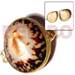 Shell Coin Purse Limpit Shell Coin Purse