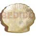 Gifts and Decorative Items Capiz Clam Shaped Plate 8x8 Inches ( Medium )