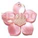 Shell Pendants 45mm Pink Hammershell Flower W/ Carved Hammershell Nectar