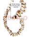Shell Beads Strands Components Frog Shell Chocolate / White