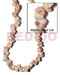 Shell Beads Strands Components Voluta Crazy Cut